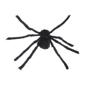 Araignée géante - 70 cm - Noir