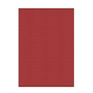Tapis extérieur - Polypropylène - 120 x 170 cm - Rouge
