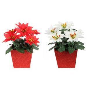 Poinsettia en pot - Plastique et polyester - 10 x 10 x H 22 cm - Rouge ou blanc
