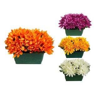 Jardinière de chrysanthèmes - Plastique - 17 x H 17 cm- Orange, jaune, rose ou blanc