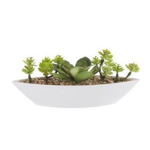 Composition succulente - Plastique - L 20 x H 9 cm - Vert