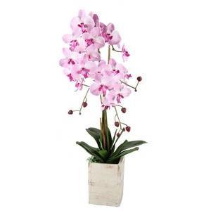 Orchidée artificielle - H 80 cm - 2 coloris