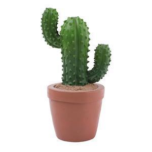 Cactus décoratif en pot