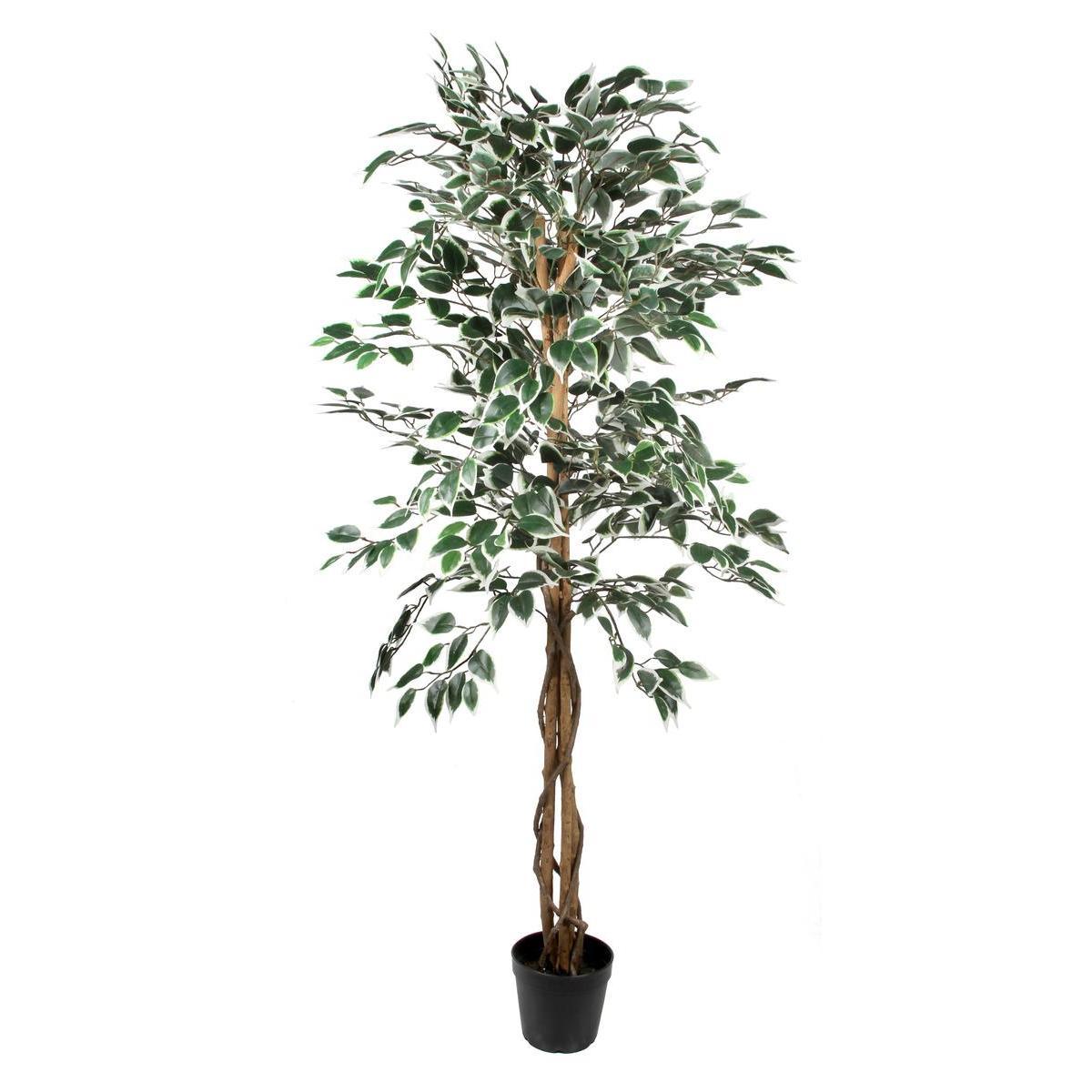 Ficus panache artificiel - H 150 cm