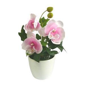 Pot d'orchidées avec lierre - Rose ou blanc