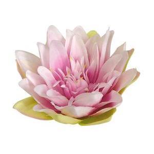 Lotus flottant - Rose ou blanc
