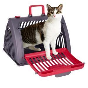 Cage de transport pliable pour chat et petit chien