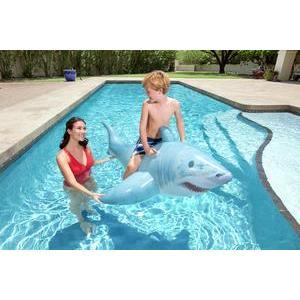 Requin chevauchable gonflable - L 183 x H 102 x 53 cm - Bleu - BESTWAY