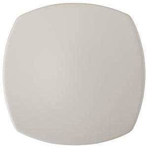Assiette plate - 25 x 25 cm - Différents coloris - Blanc mat