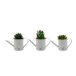 Succulente artificielle en pot - L 13 x H 18.5 x l 8 cm - Différents modèles - Blanc, vert - K.KOON