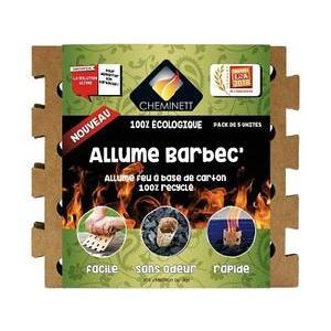 5 allume-barbecue en carton