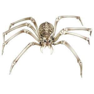 Squelette araignée géante - H 82 cm - C'PARTY