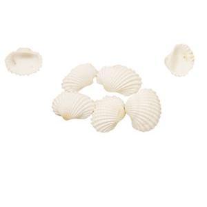 Coquillages décoratifs - sachet de 20g - Blanc