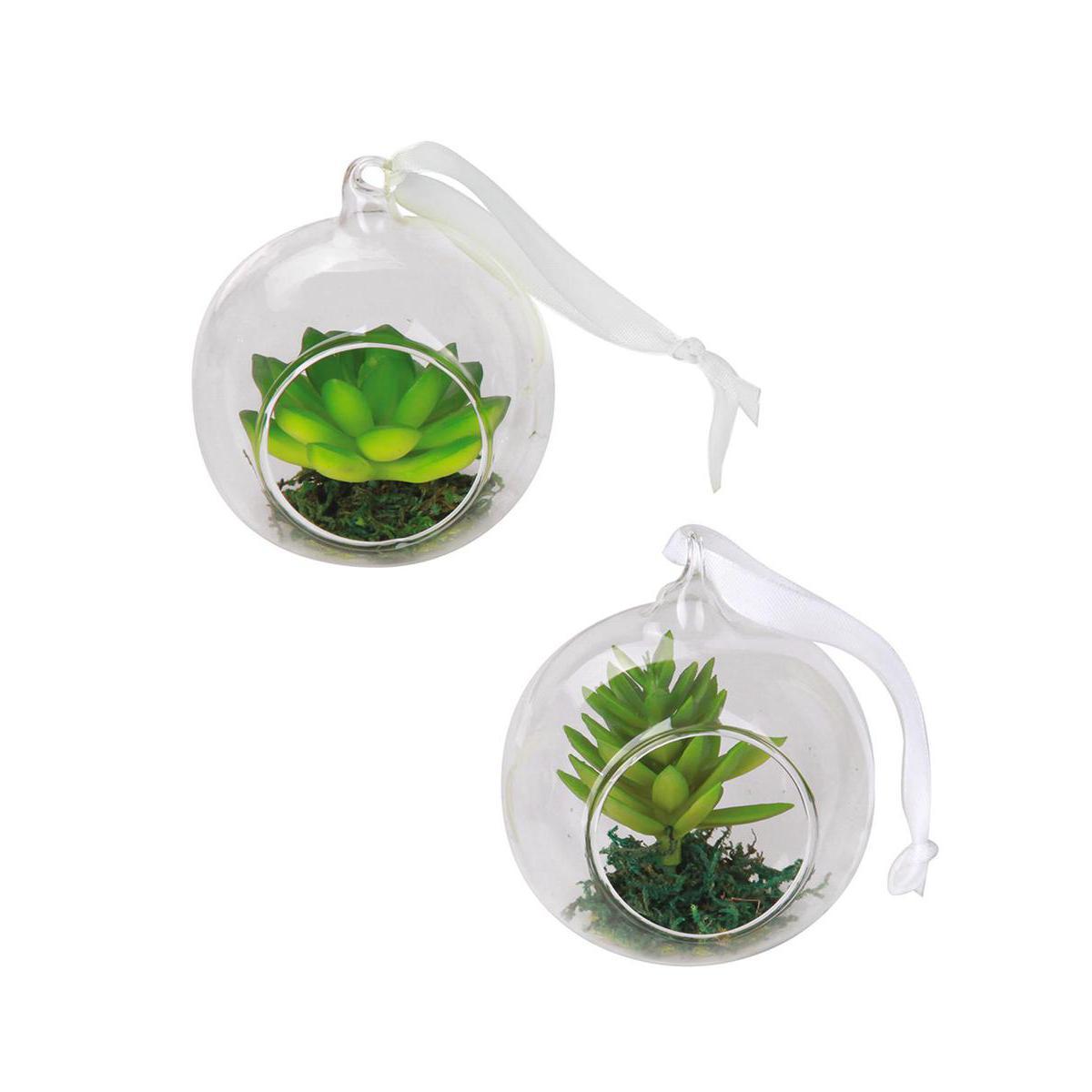 Boule à suspendre et succulente -  Verre, Plastique - Diam 8 cm - Blanc