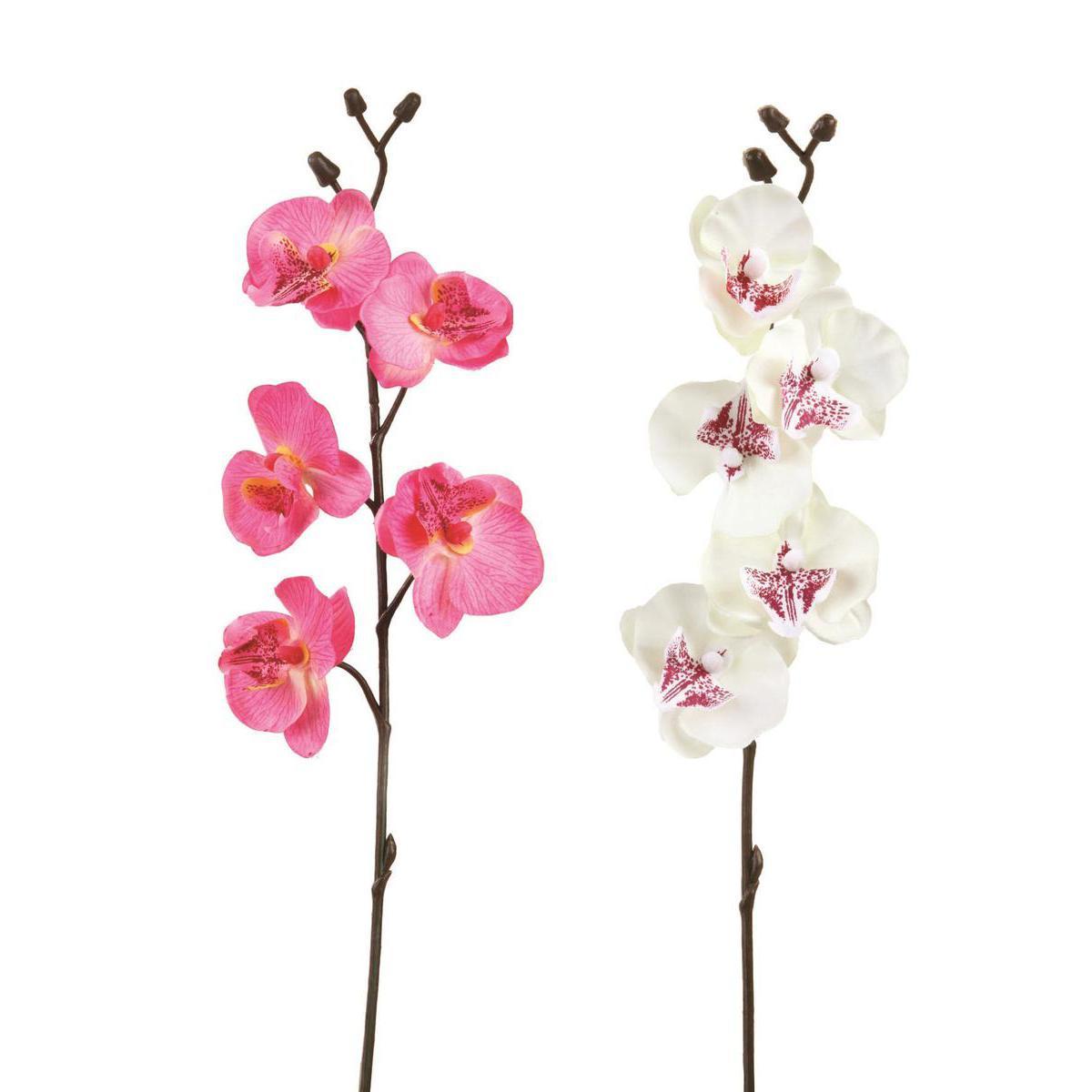 Tige d'orchidée - Plastique, Polyester - H 40 cm - Rose Blanc