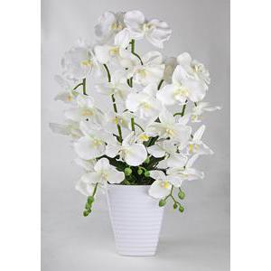 Branches d'orchidées en pot - Plastique et polyester - Hauteur 47 cm - Blanc