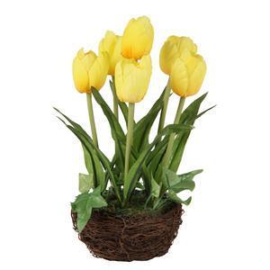 Tulipes en panier/nid - H 20 cm