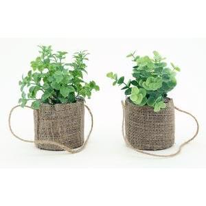 Herbes aromatiques en sac toile de jute - H 20 cm - Différents modèles