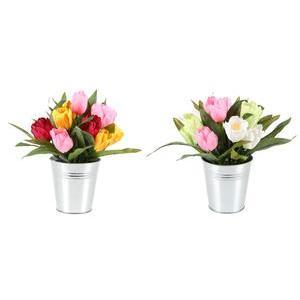 Tulipes en pot zinc - H 24 cm - Différents coloris