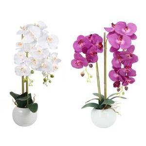 Orchidée 2 branches en pot - H 70 cm - Différents coloris