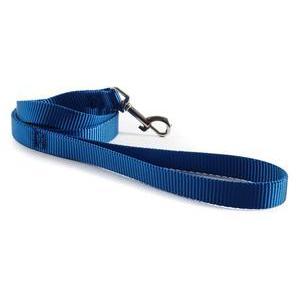 Laisse pour chien - L 120 cm - Bleu