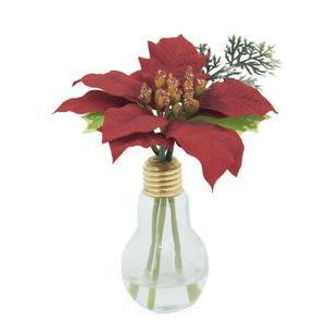 Poinsettias velours avec vase ampoule