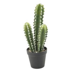 Cactus en pot rond - H 37 cm - Vert
