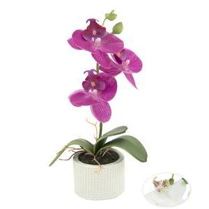 Orchidées en pot céramique - H 22 cm - Rose, Blanc