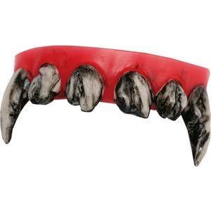 Dentier de monstre rigide & sale avec pâte sanglante - L 11 x H 3 x l 9 cm - Multicolore - PTIT CLOWN