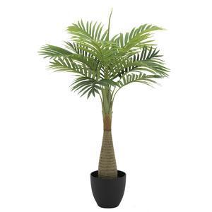 Palmier areca 7 palmes - H 80 cm