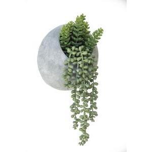 Succulentes retombantes en pot avec accroche murale - H 34 cm - Vert