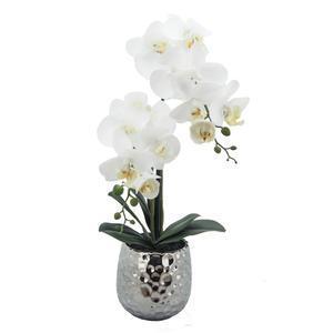 Orchidée en pot - H 51 cm