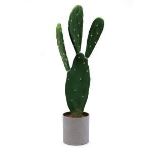 Cactus en pot plastique - Gris