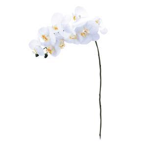 Tige d'orchidées 9 fleurs - Blanc
