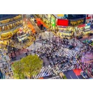Image contrecollée Rues de Tokyo - 60 x 90 cm