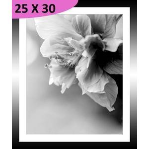 Tableau Fleur - L 30 x l 20 cm - Noir, blanc - VUE SUR IMAGE