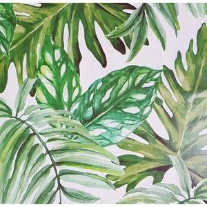 Adhésif Tropique - 150 x 45 cm - Vert, blanc