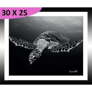Tableau Tortue marine - L 30 x l 25 cm - Noir, blanc - VUE SUR IMAGE