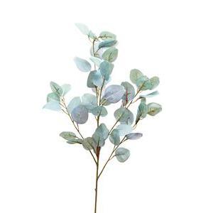 Branche d'Eucalyptus effet blanchi - H 88 cm - Vert