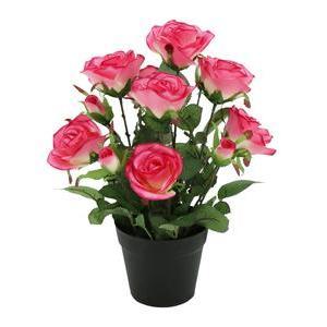 Rosier 8 fleurs + 4 boutons - H 39 cm - Orange, Rose, Rouge