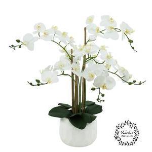 Orchidée 6 branches `toucher naturel` - H 55 cm - Rose, Blanc