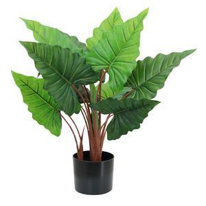 Alocasia synthétique 13 feuilles - H 70 cm - Vert