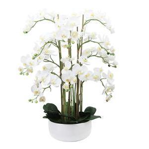 Orchidées 12 branches en pot céramique blanc - H 80 cm