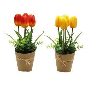 Compo 4 tulipes en pot papier kraft - H 30 x ø 7 cm - Différents modèles