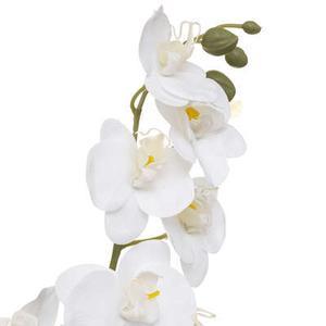Orchidee pot crmq reactive h45