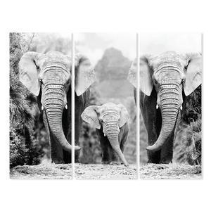 Toiles Triptyques Elephants
