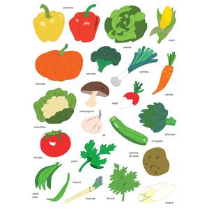 Gommettes légumes de 2,5 à 5 cm x 44 pcs