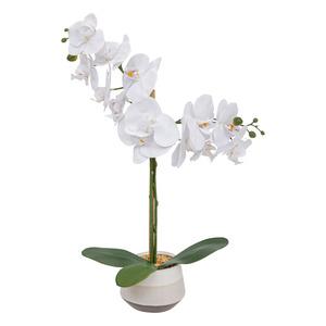 Orchidée en pot - H 52 cm - Blanc -  ATMOSPHERA