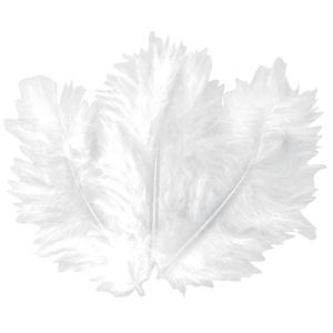 Plumes naturelles blanches 10 cm x 50 pcs
